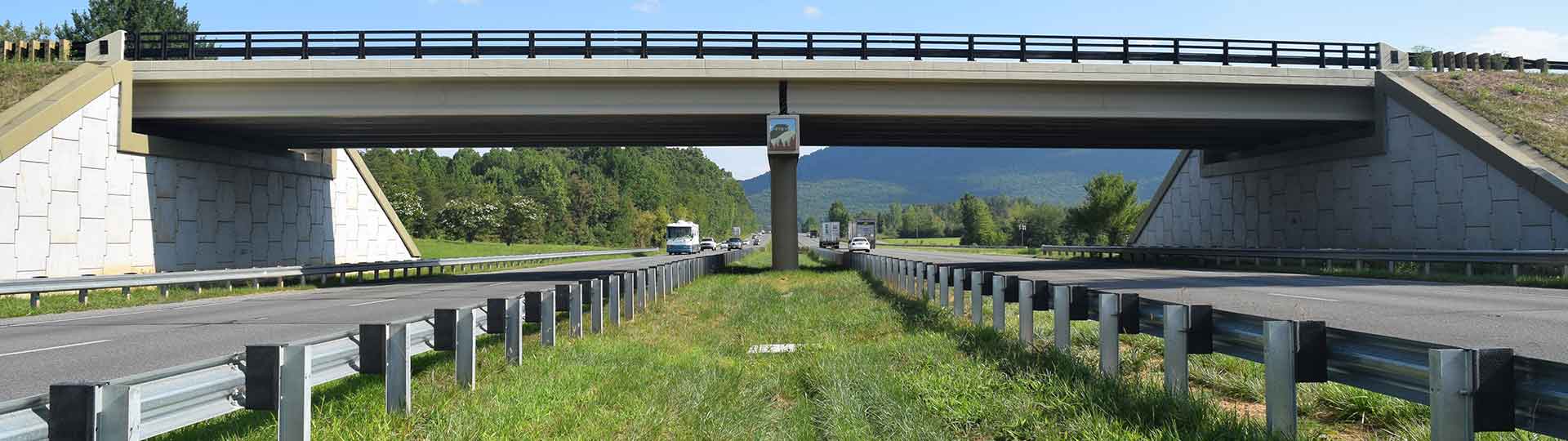 Overpass Bridge